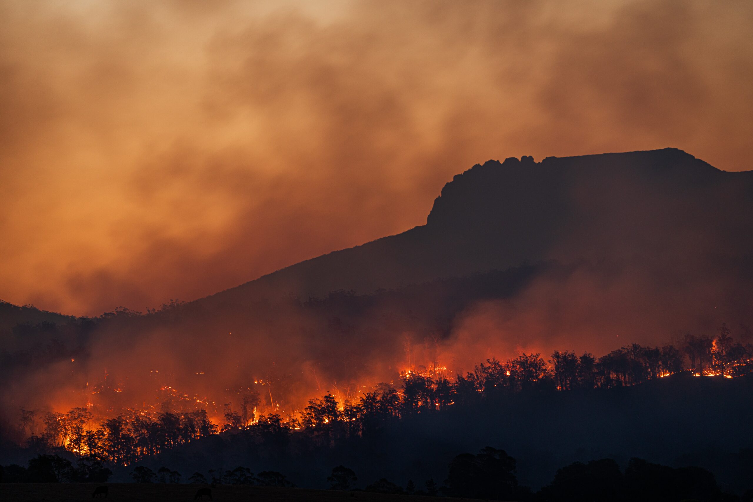 New technology propels efforts to fight Western wildfires