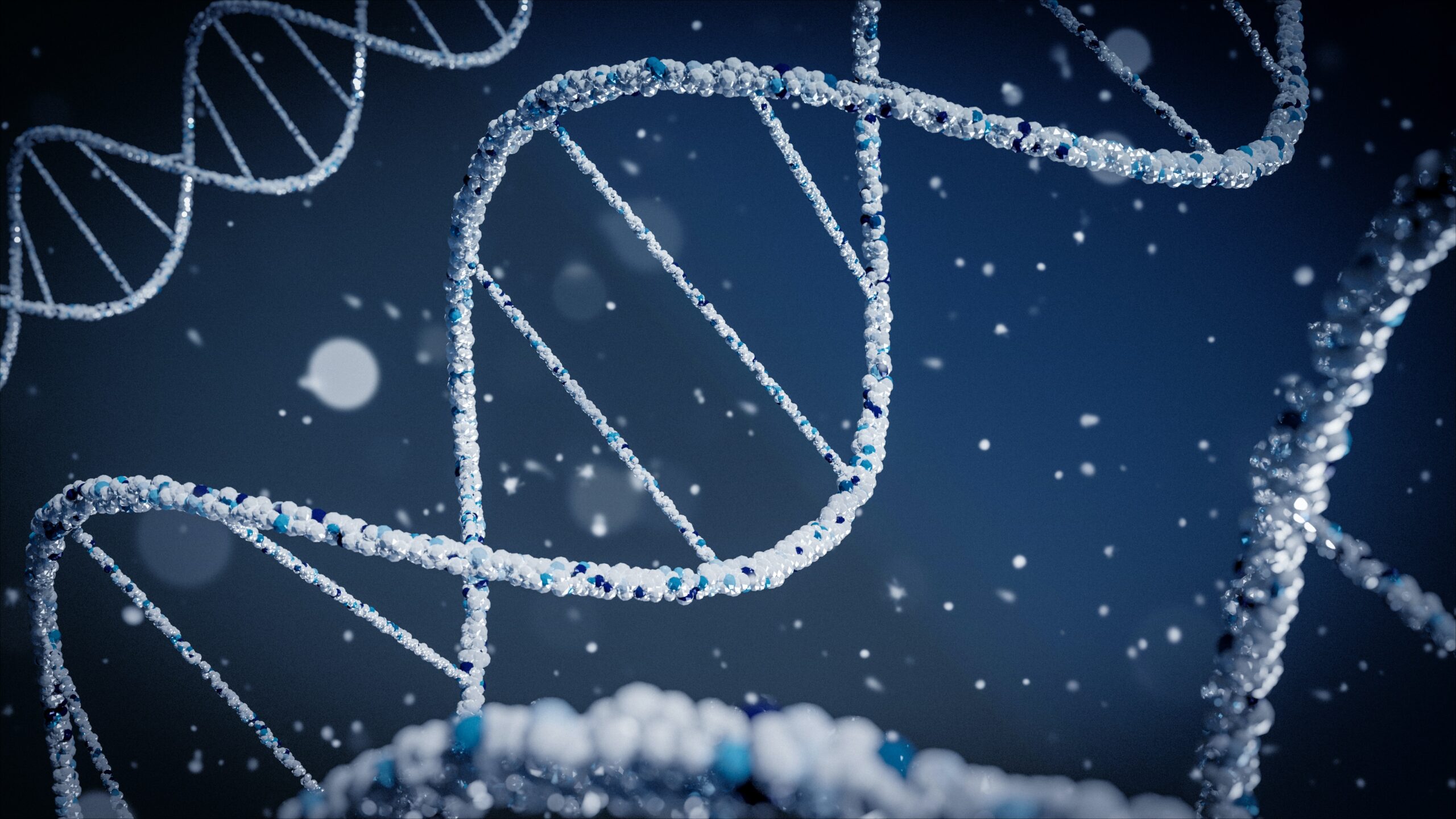 New DNA Technology Approved To Identify 9/11 Remains