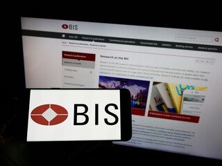 Understanding Tokenization Risks Through DeFi Borrower Behavior: Insights from a BIS Study