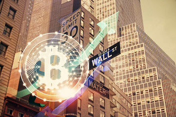 Current Bitcoin Rally Sees a Slower Increase in Millionaire Whales, According to Recent Data