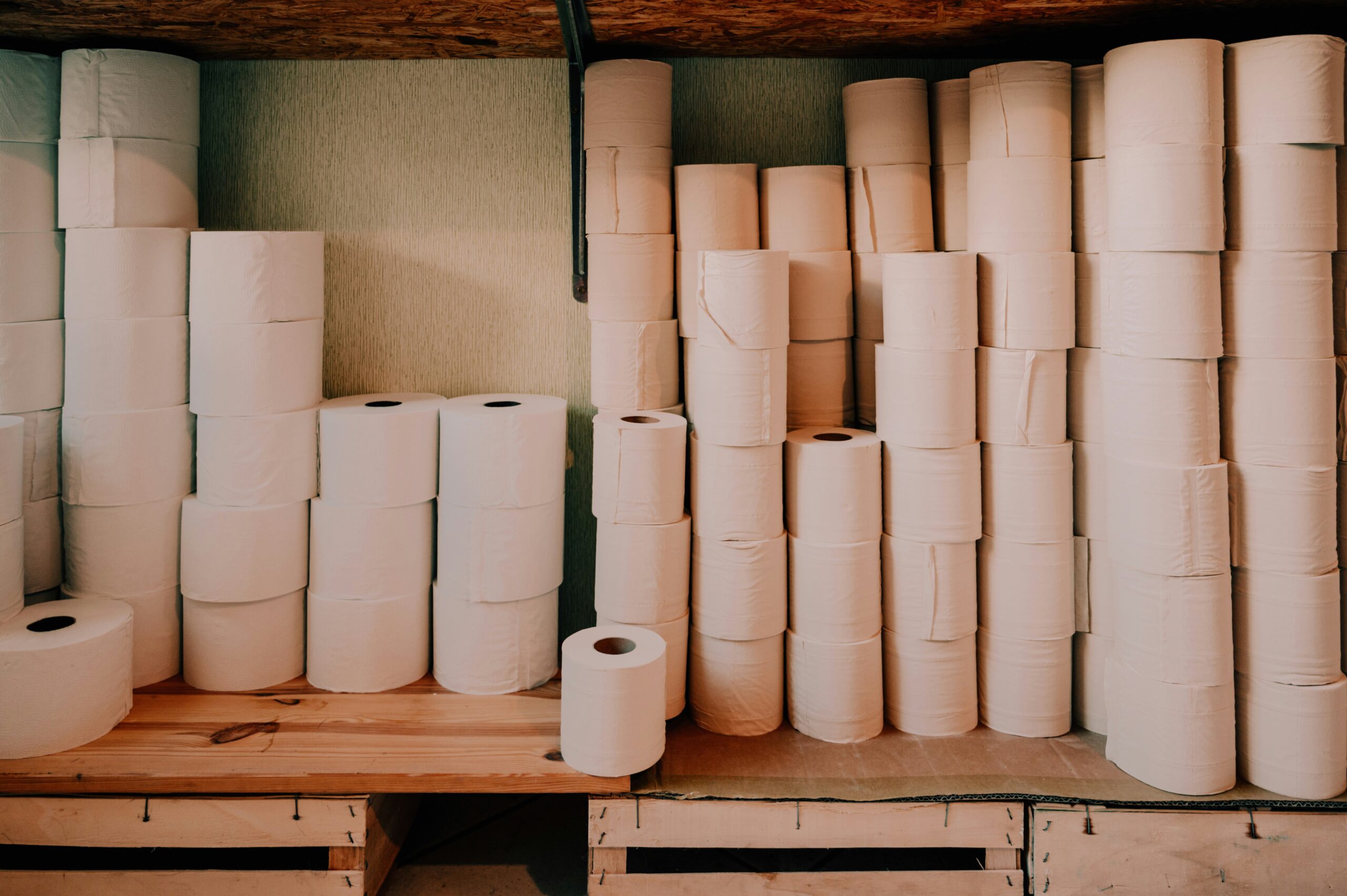 Eco-Startups Are Opting for Treeless Toilet Paper