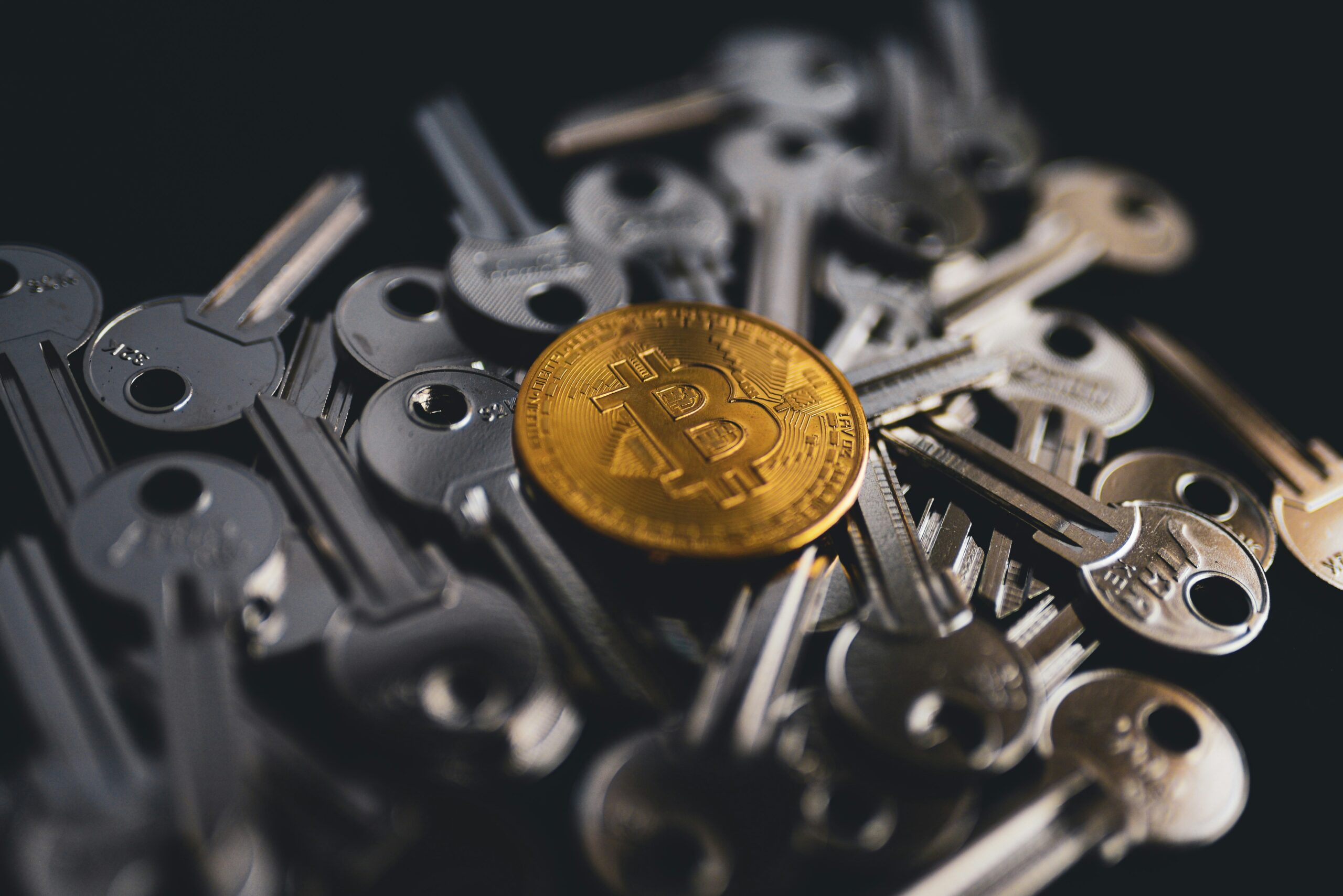 Balancing Bitcoin’s Decentralization Ideals with the Pursuit of Mass Adoption
