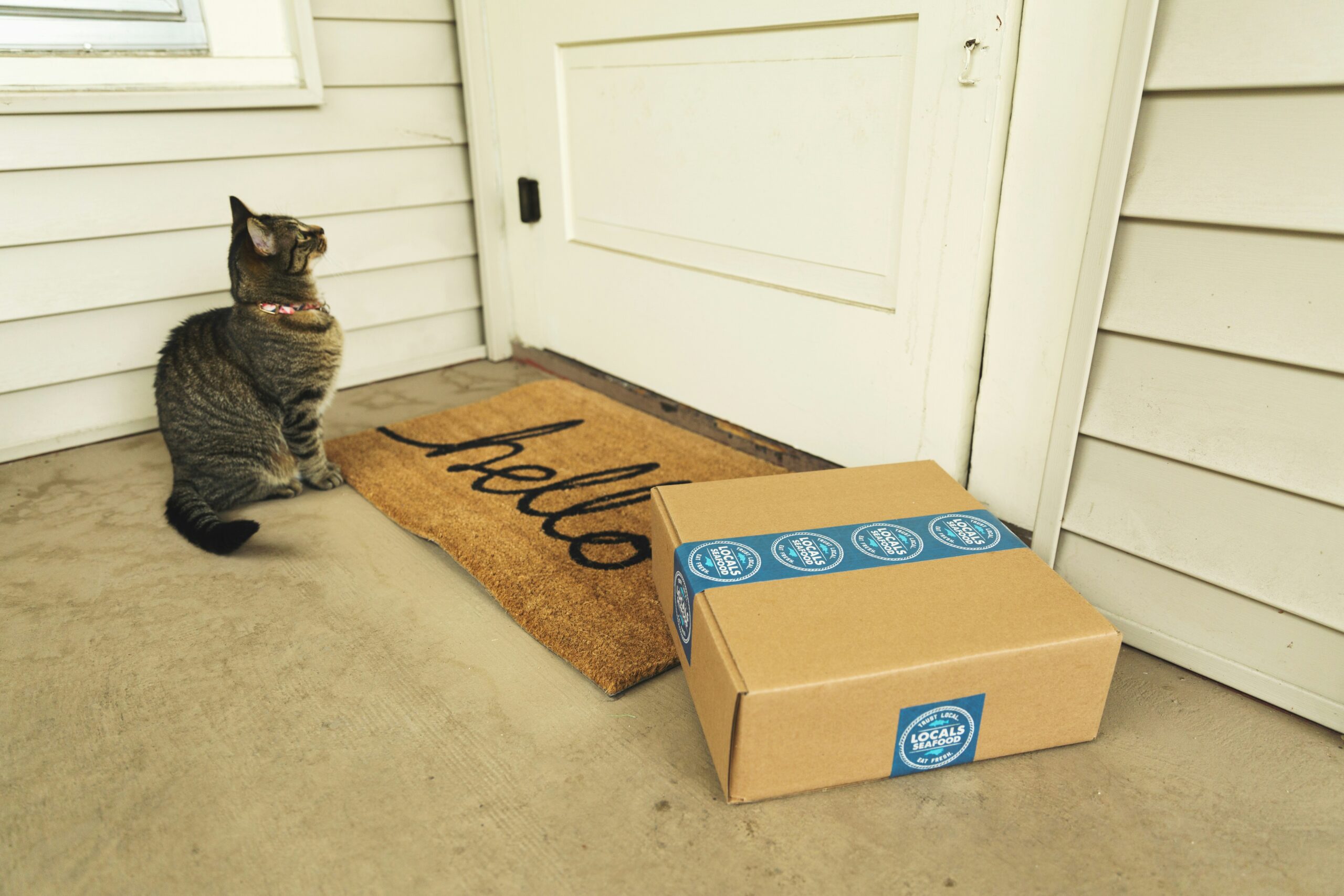 Drive Revenue Growth with These Subscription Marketing Strategies