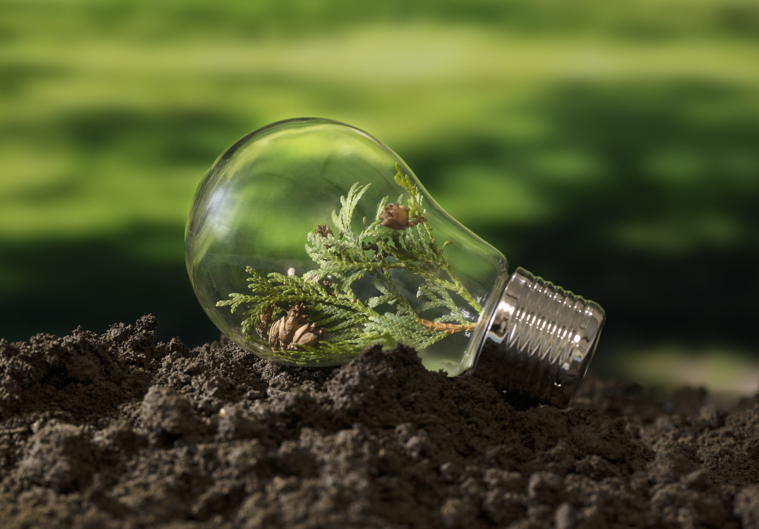 Samsara Eco Secures $65 Million to Replace Plastic Packaging