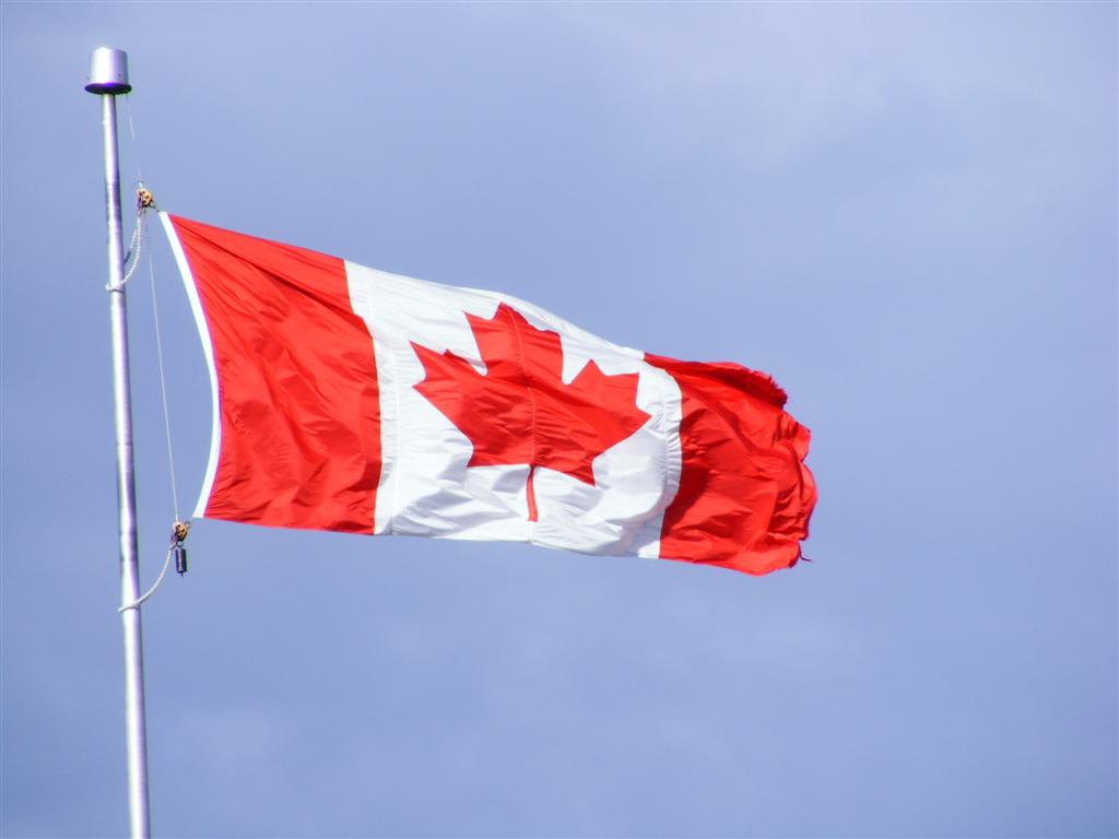 Canadian Wellness Company Approves $1 Million Bitcoin Treasury Investment