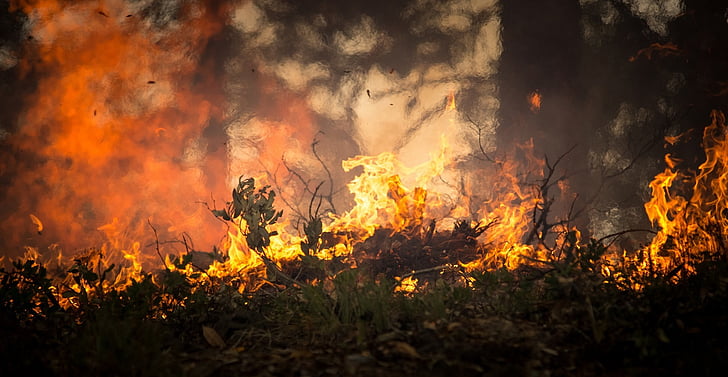 Wildfires Ravage Los Angeles as Thousands Evacuate in Desperate Rush