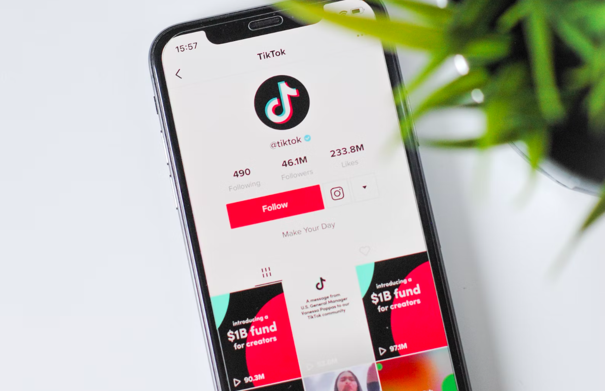 Support for TikTok Ban Declines Among Americans