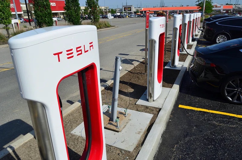 Elon Musk Scales Back DOGE Involvement to Focus on Tesla After Profit Drop
