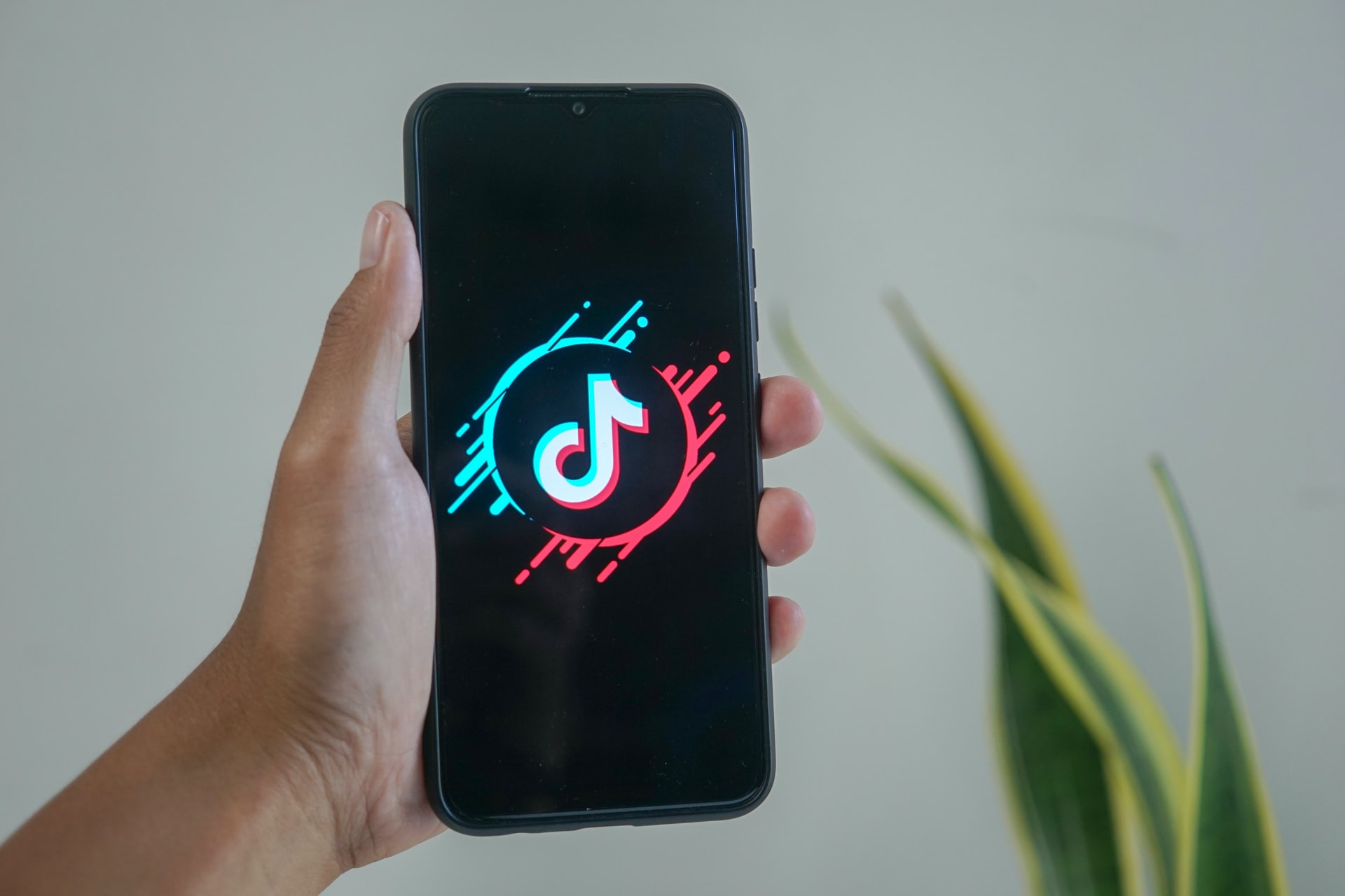 TikTok Challenges Google Maps by Featuring Reviews in Comments