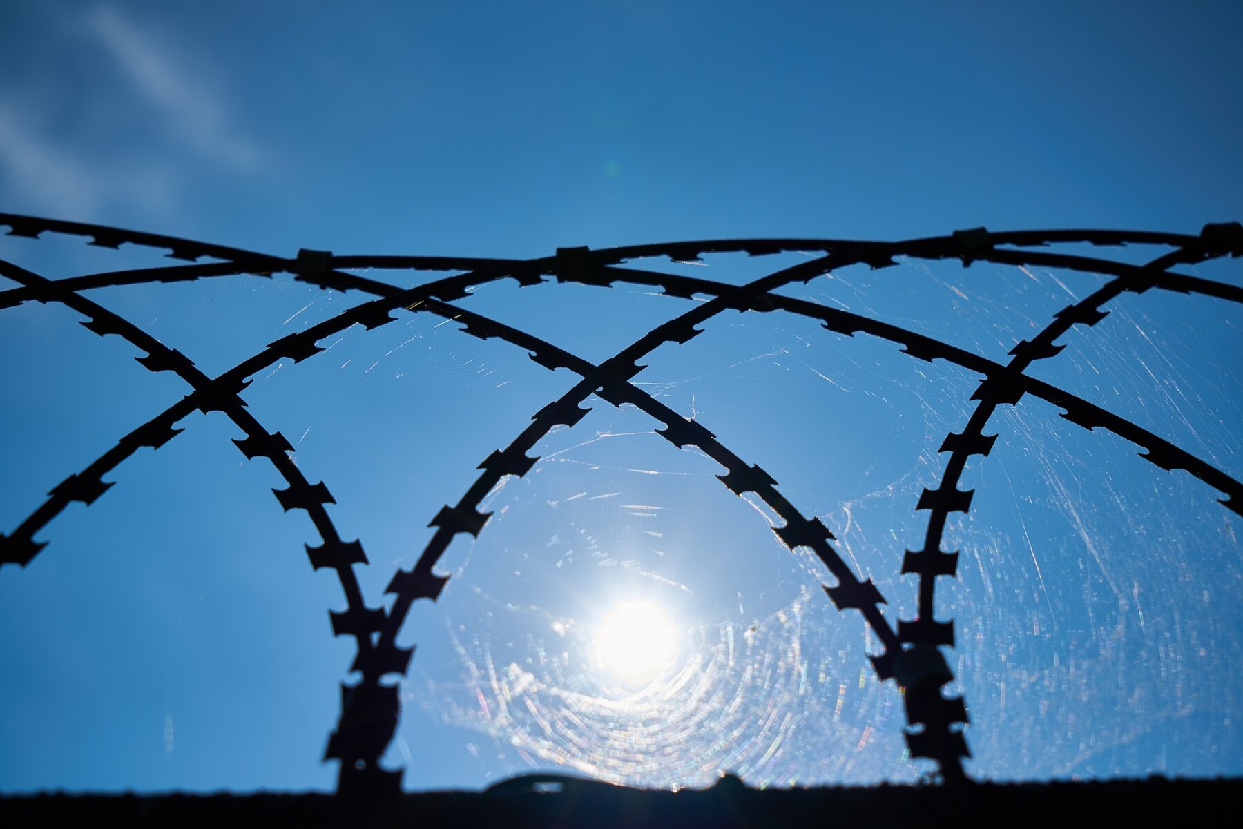 Trump Administration Moves Forward with Plan to Send More Deportees to El Salvador Prison