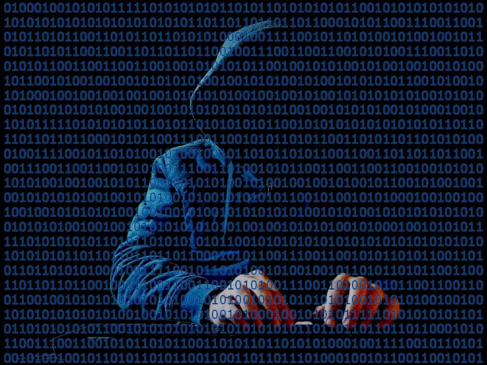 US Charges Russian Suspected of Leading Global Cybercrime Ring