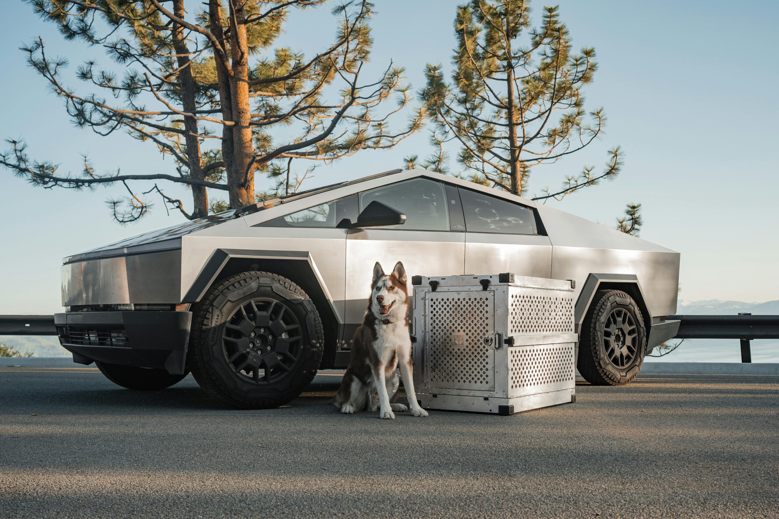 Tesla Cybertruck Falls Behind in EV Truck Sales