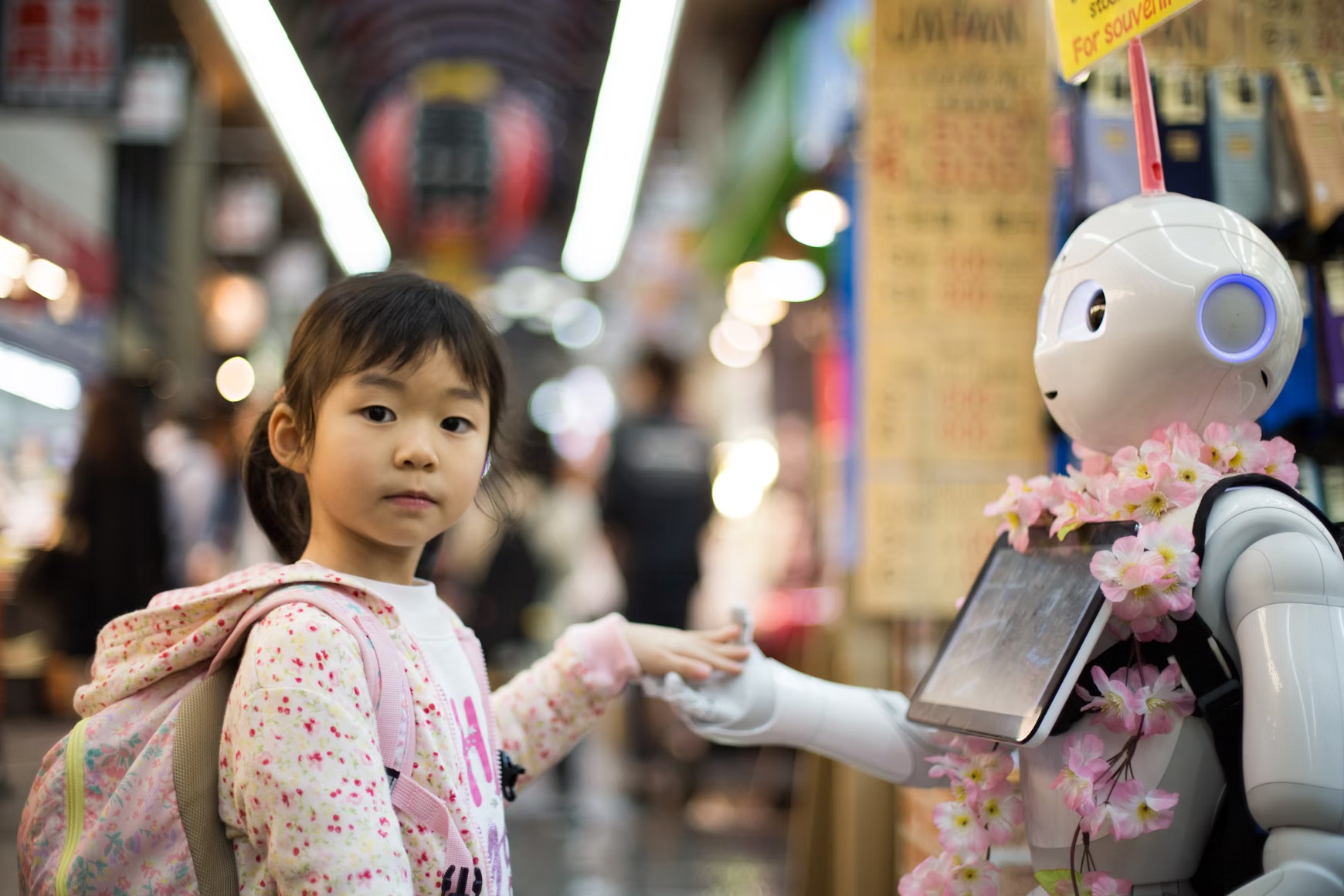 Famed Roboticist Says Humanoid Robot Bubble Is Doomed to Burst