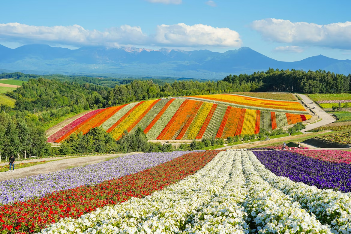Japan Bets on Hokkaido to Become a New Global Semiconductor Hub