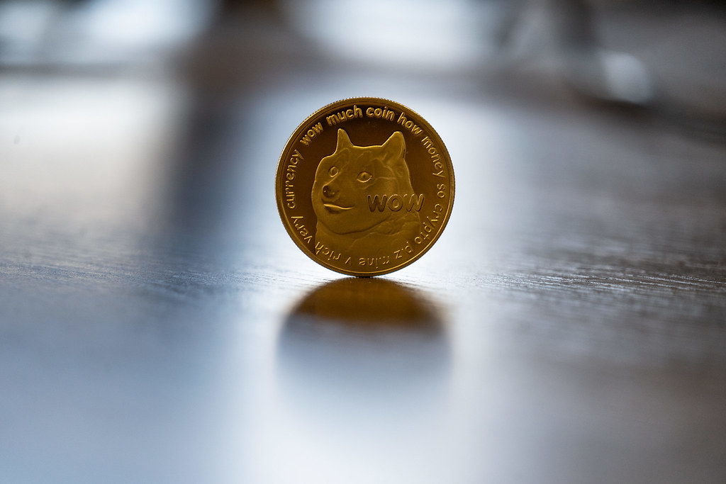 DOGE Collapses After Elon Musk’s Turbulent Departure From Washington