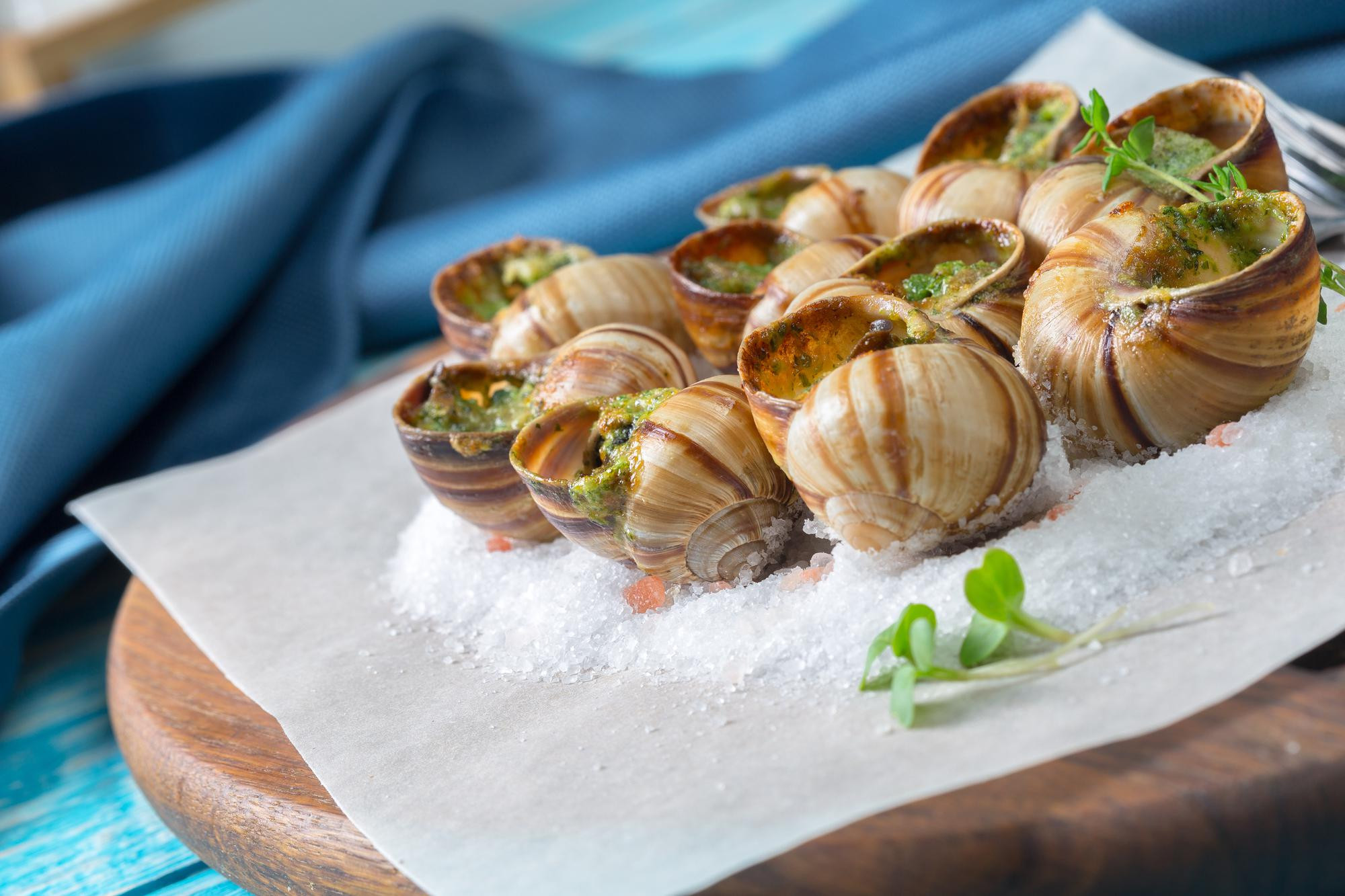French Snail Farm Reports €90,000 Theft Ahead of Holiday Season