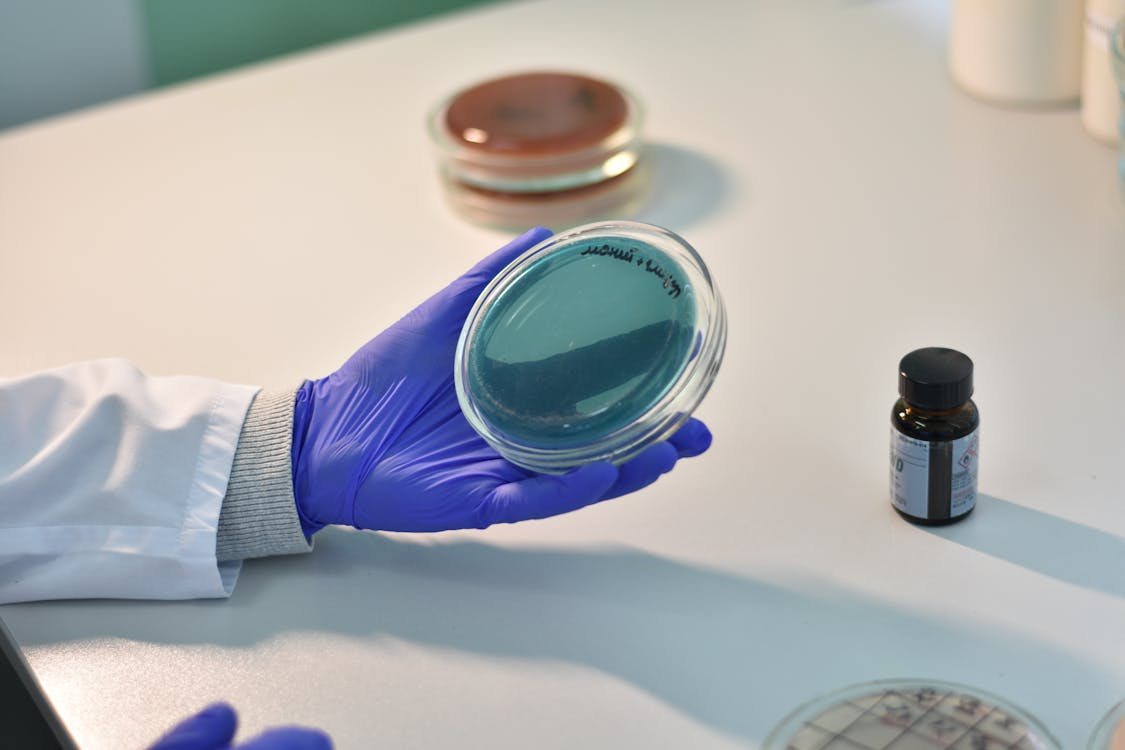 Medical Membranes Market Projected to Reach $6.66 Billion by 2030