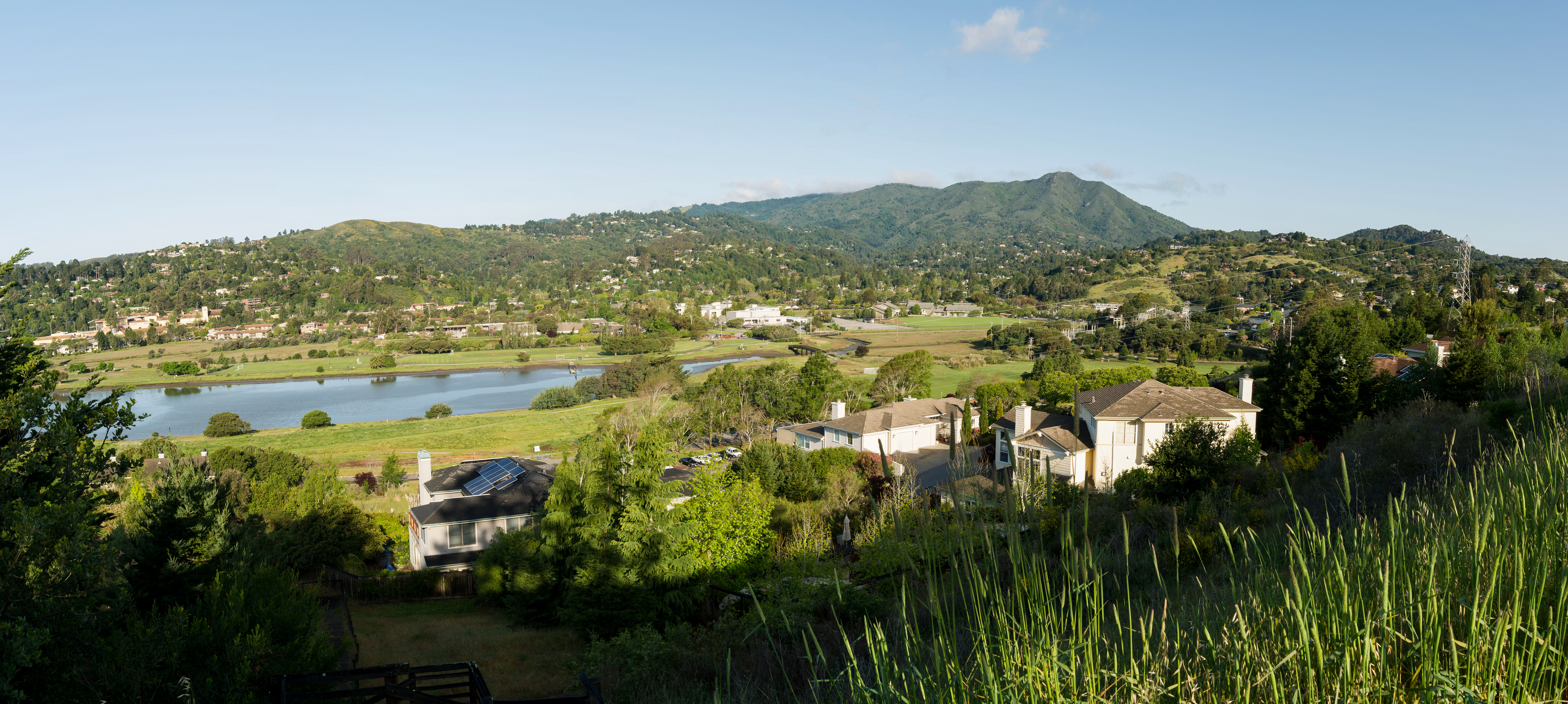Mill Valley Homeowner Seeks Anthropic Equity Swap For 13 Acre Property In Unusual Deal Proposal