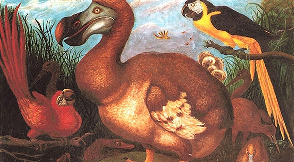 Colossal Biosciences Introduces GenoMorph AI to Identify 2,300 Dodo Gene-Editing Targets